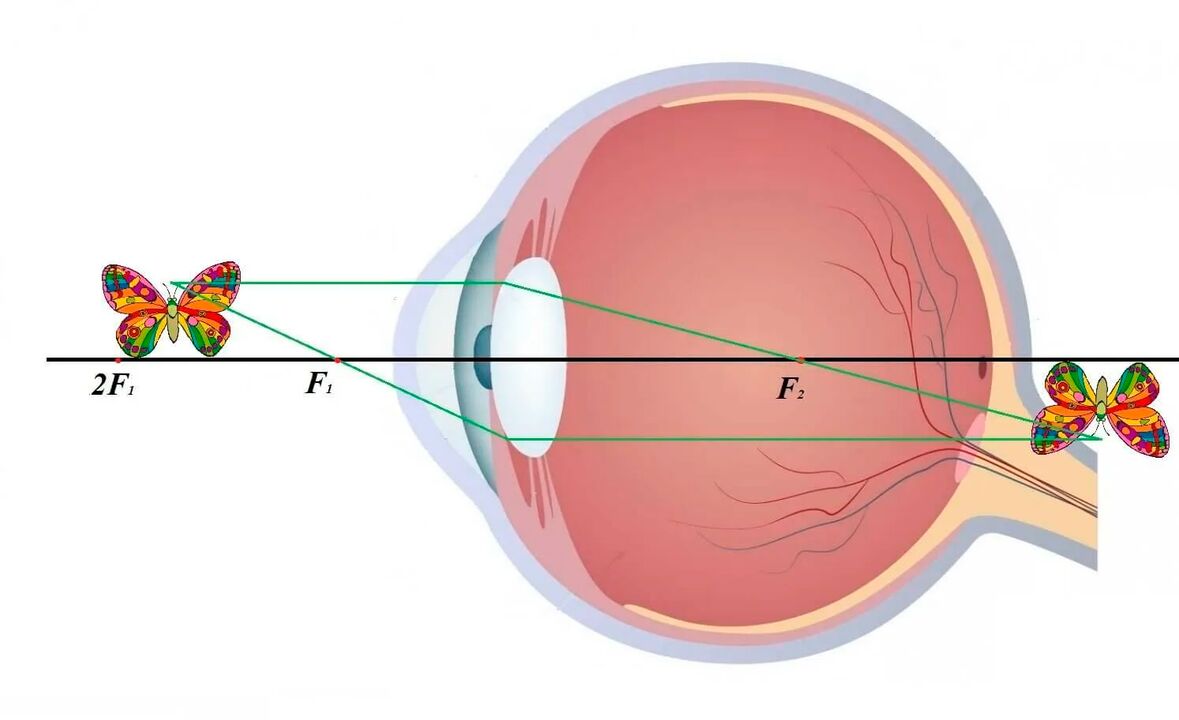 Diagram vidnega sistema